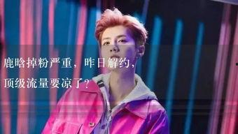 娱乐吃瓜酱十年,吃瓜酱的独家视角