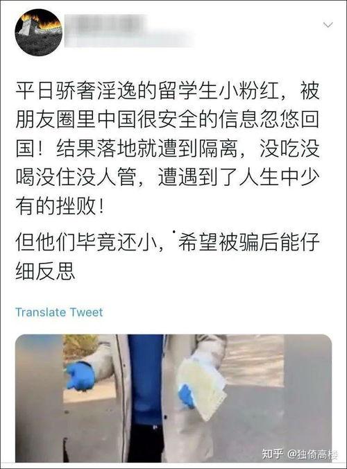 文安网红吃瓜事件始末,揭秘网络舆论的风暴与真相