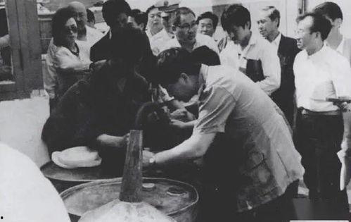 成县网红吃瓜事件始末,一场网络舆论的风暴与反思