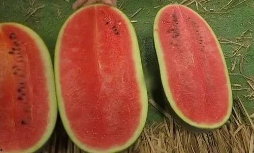 52吃瓜网 搜索,娱乐圈最新热点事件大盘点