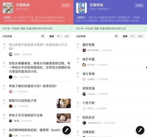 豆瓣吃瓜人才网,揭秘网络社交新趋势，吃瓜群众也能成为人才
