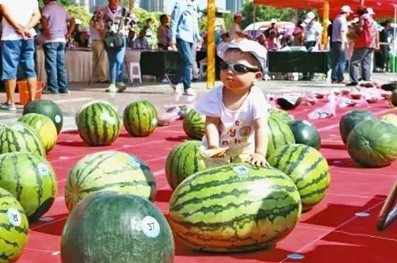 吃瓜网官网大赛,瓜界盛宴，创意无限，一网打尽精彩瞬间