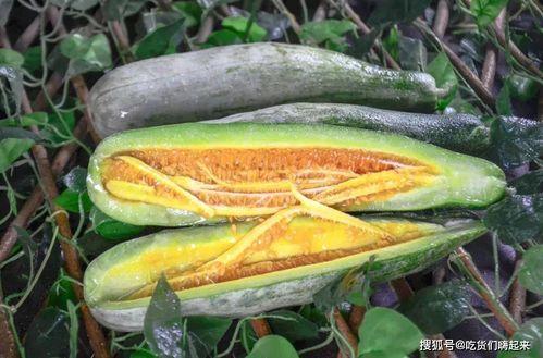 吃瓜香的网红,揭秘网红背后的美食传奇