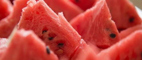 吃瓜网有什么危害,网络世界的暗流涌动