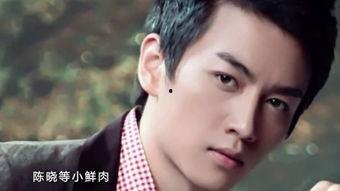 娱乐陈晓吃瓜小说下载,娱乐圈的甜蜜陷阱