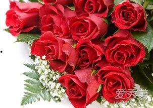 娱乐吃瓜酱玫瑰花,玫瑰花背后的秘密故事