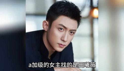 娱乐圈八卦吃瓜小说,揭秘明星背后的秘密与爱恨情仇