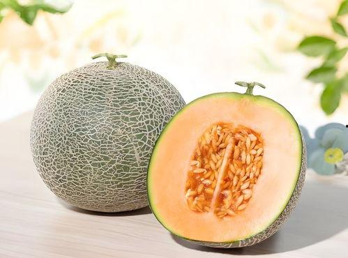 吃瓜网去哪里找,探索热门资讯的聚集地