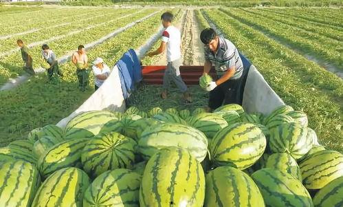 国网济南培训吃瓜
