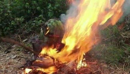 暗黑吃瓜官网爆料,揭秘娱乐圈不为人知的幕后真相