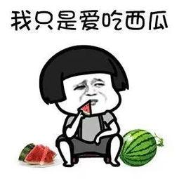 吃瓜娱乐圈骗子