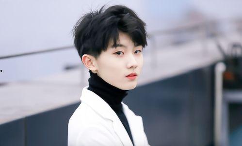 娱乐圈吃瓜马嘉祺是谁的粉丝,娱乐圈吃瓜群众的热议焦点